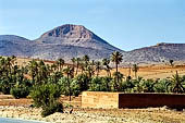 Marocco meridionale - Lungo la strada da Tiznit a Tafraoute.
